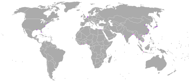 605Px Major Cities Threatened By Sea Level Rise