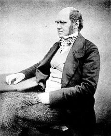 230Px Charles Darwin Aged 51