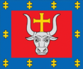 Kaunas County flag.png