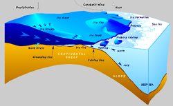 250Px Antarctic Shelf Ice Hg